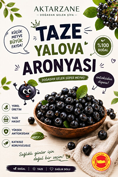 Aktarzane Taze Aronya Meyvesi Aronia Coğrafi İşaretli Yalova Üretim Süper Mey...