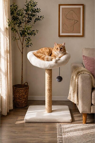 S2 Kedi Tırmalama Tahtası Oyun Evi Silinebilir kumaş Lüks Geniş (30cm)