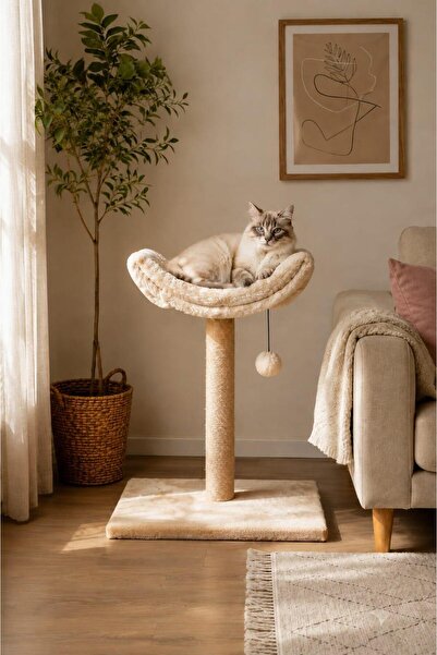 PatimPets S2 Kedi Tırmalama Tahtası Oyun Evi Silinebilir kumaş Lüks Geniş (30cm)