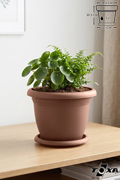 ToXA 5 Litre Ø26x19cm Tabaklı Yuvarlak Plastik Orta Boy Villa Saksı No6 Mat K...