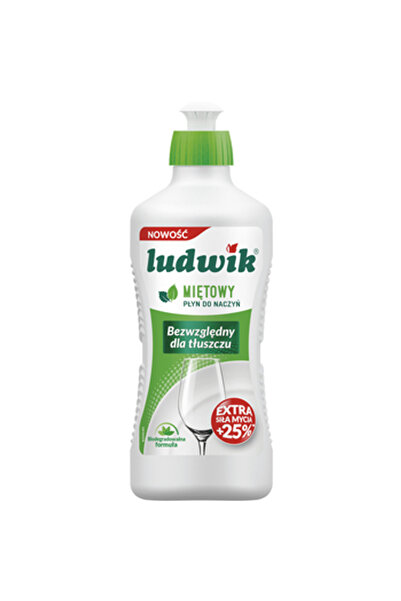 Generic Brand Detergent vase, Ludwik, Menta, 450g