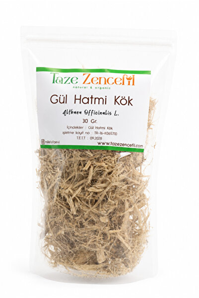 Gül Hatmi Kök