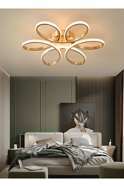 Generic Simple LED Ceiling Lamp - Warm Romantic Chandelier for Living Room, B...