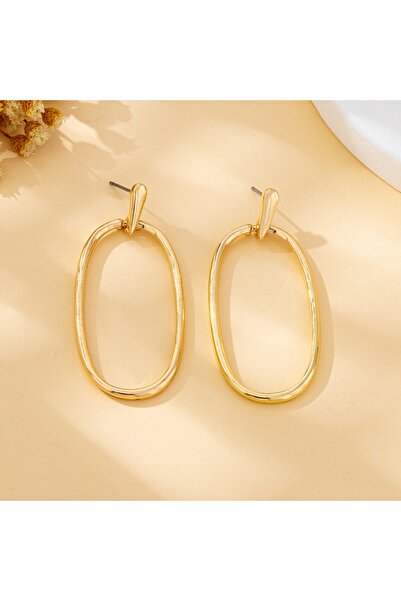 Choice Golden Women's Earrings, Simple Geometric Oval-Shaped Earrings, Suitab...