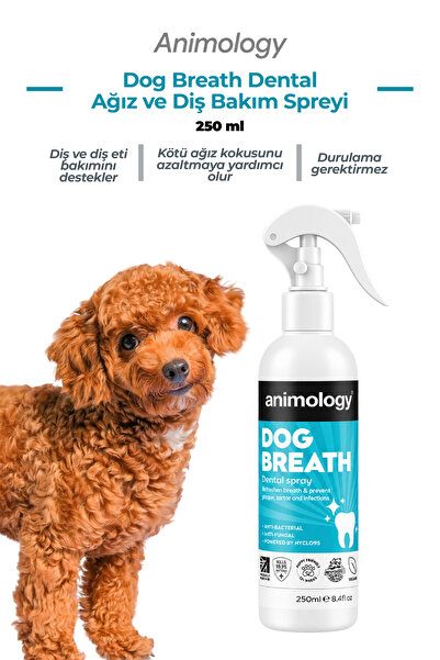 Animology Dog Breath Dental Spray Köpek Nefes ve Diş Bakım Spreyi 250ml