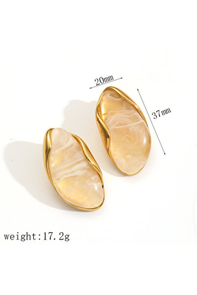 Choice TE60295-WT Hot Sales Brown Resin Geometric Shape Earrings Stainless St...