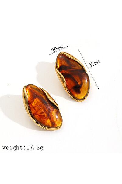 Choice3 TE60295-BR Hot Sales Brown Resin Geometric Shape Earrings Stainless S...