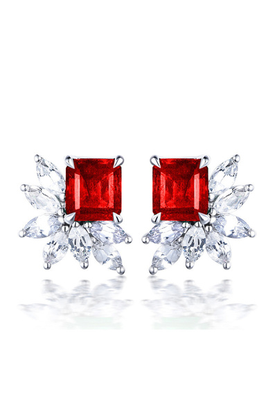 Choice E639 Huitan Gorgeous Women's Earrings with Blue/White Round CZ Luxury ...