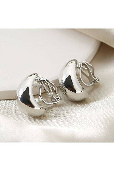 Choice Silver color European American Fashion New Earring French Light Luxury...