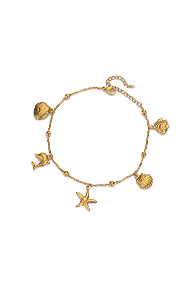 Choice HJ476G 316L Stainless Steel Starfish Shell Charms Anklet For Women Fas...