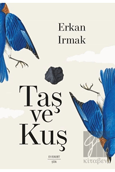 Everest Yayınları Taş ve Kuş