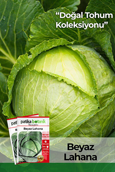 Patika Botanik 200 Adet Ata Tohumu Yerli Beyaz Lahana