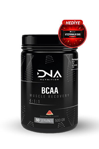 Dna Nutrition Bcaa 4:1:1 Karpuz Aromalı 500gr