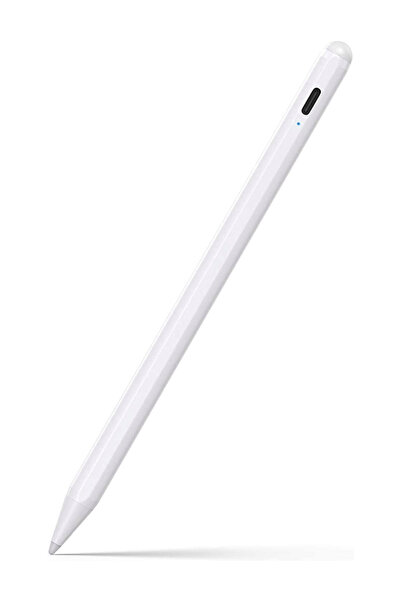 Fuchsia iPad 10,9 10.Nesil Uyumlu Avuç İçi Reddetmeli Dokunmatik Özel Çizim v...