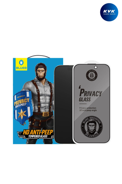 BLUEO Anti-Peep Privacy Samsung S25 Uyumlu Hayalet Full Cam Ekran Koruyucu Gö...