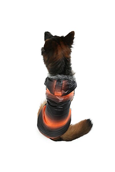 DOGİ&DOG Büyük Irk Black Oranj Puf Köpek Montu Köpek Kıyafeti