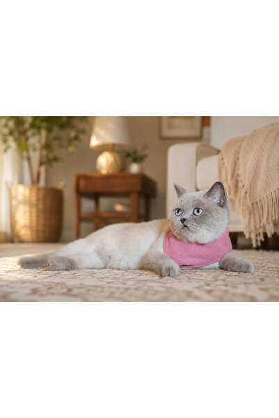 GoPawGo Charmlı Yumuşak ve Ayarlanabilir Supreme Soft Kedi Göğüs Tasma Seti