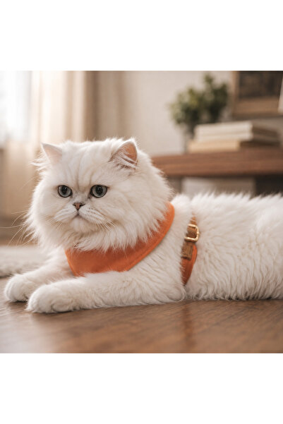 GoPawGo Soft and Adjustable Harlowe Soft Cat Chest Harness Set with Charms
