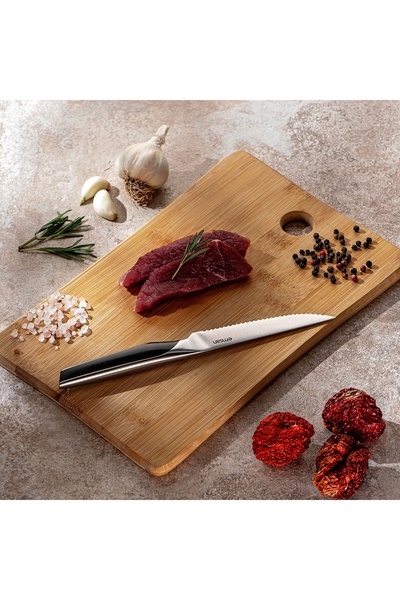 Emsan Pro Knife Steak Bıçağı