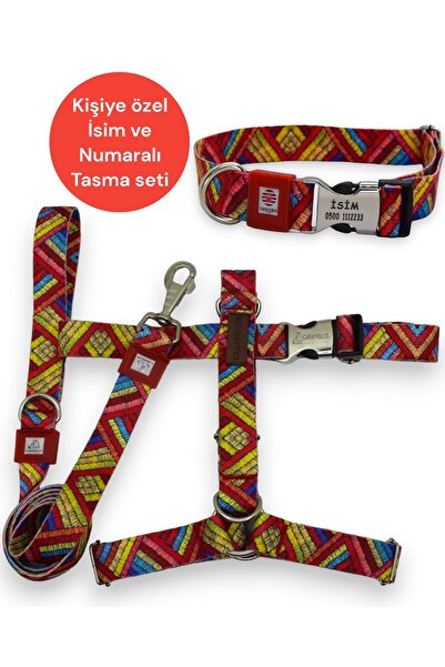 CARAMELOS İsimli-H Tipi Köpek Tasma Seti-(GÖĞÜS+BOYUN+GEZDİRME-İSME ÖZEL) Köp...