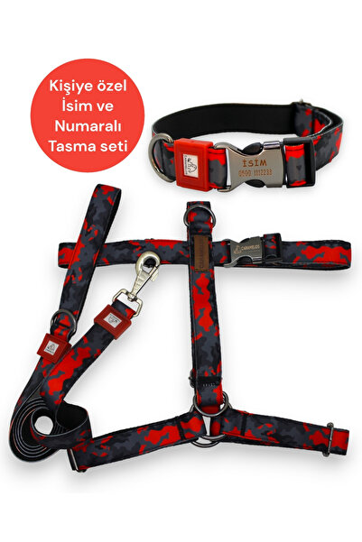 CARAMELOS İsimli-H Tipi Köpek Tasma Seti-(GÖĞÜS+BOYUN+GEZDİRME-İSME ÖZEL) Köp...