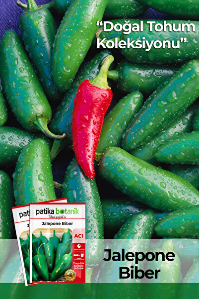 Patika Botanik 150 Adet Ata Tohumu Yerli Jalapeno Biber