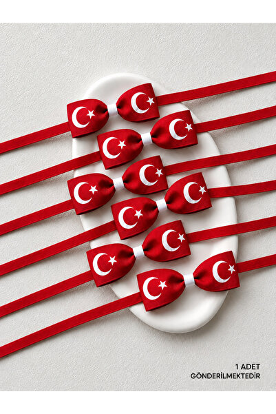 Tgc Aksesuar Bayrak Desenli Çocuk Papyon 1 Adet
