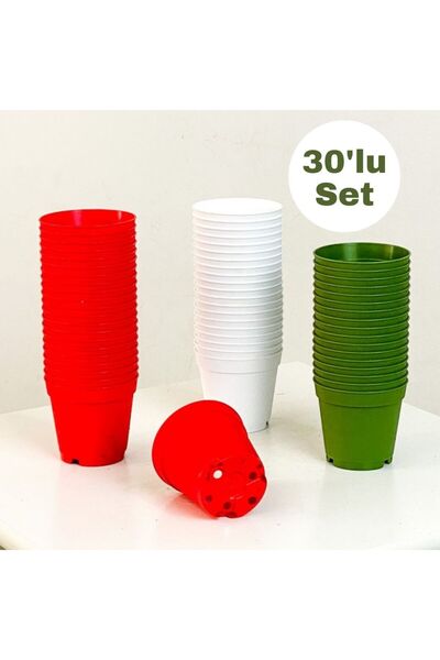 Kaktüs Sukulent Yetiştirme Saksısı (Karışık Set)