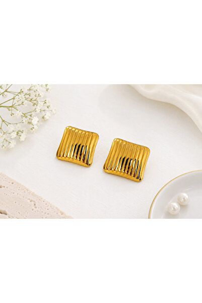 Archhazel Jewelery Square Steel Earrings
