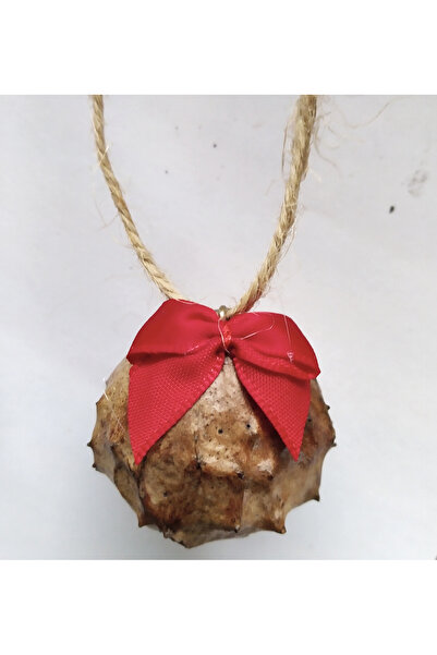 Handmade Ornamente naturale pentru bradul de Craciun - aac0104
