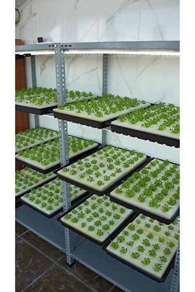 Hidroponik Farm Bitki Yetiştirme Süngeri (Çimlendirme)
