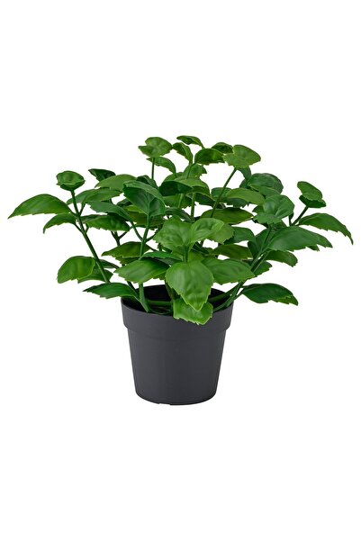 OEM Plantă artificială 9 cm interior/exterior/busuioc FEJKA Plante de birou a...
