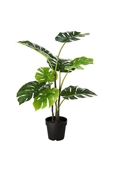 OEM Plantă artificială 19 cm interior/exterior Monstera FEJKA Plante artifici...