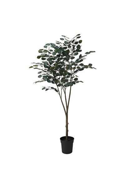 OEM Plantă artificială 19 cm interior/exterior eucalipt FEJKA Plante artifici...