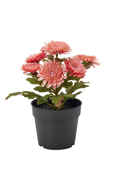 OEM Plantă artificială 9 cm interior/exterior/Crizantema roz FEJKA Plante de ...
