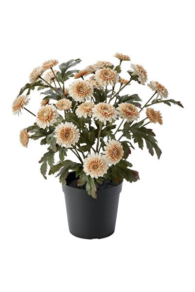OEM Plantă artificială 15 cm interior/exterior/Crizantema portocaliu deschis ...
