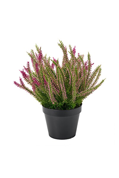 OEM Plantă artificială 12 cm interior/exterior/iarbă neagră lila FEJKA Plante...