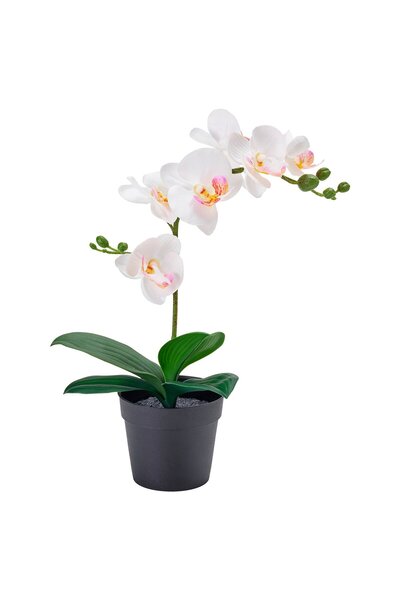 OEM Plantă artificială 9 cm Orhidee alb FEJKA Plante de birou artificiale