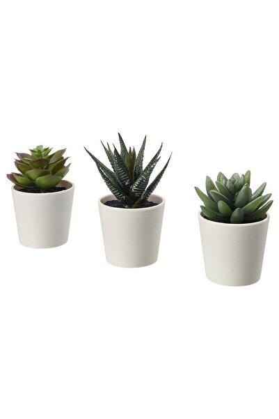 OEM Plantă artificială în ghiveci 6 cm 3 buc. interior/exterior Succulent FEJ...