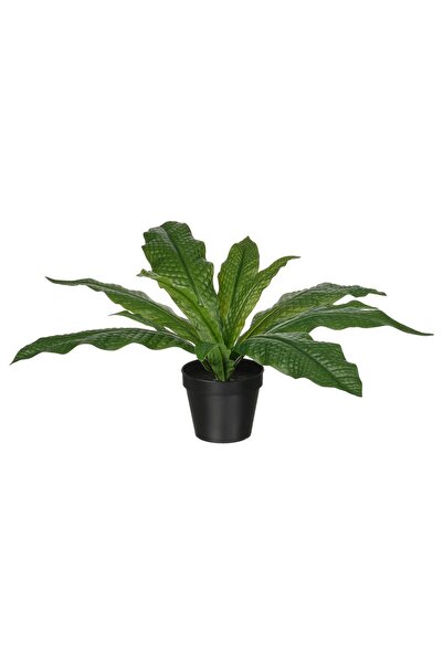OEM Plantă artificială 12 cm interior/exterior Microsorum crocodyllus FEJKA P...