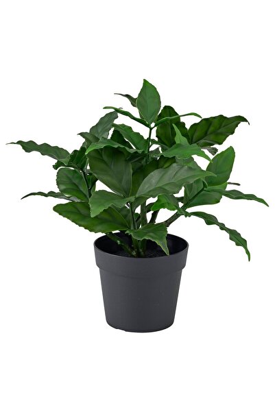 OEM Plantă artificială 9 cm interior/exterior/dafin FEJKA Plante de birou art...