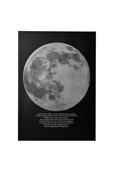 OEM Tablou 50x70 cm lumina lunii PJÄTTERYD Tablouri cu ramă