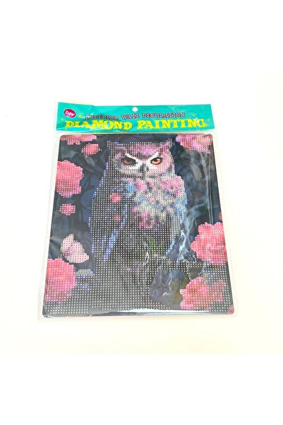 NT Boncuklu Taşlı Pano Mozaik Elmas Goblen Çocuklar İçin Diamond Tablo 21 x 2...