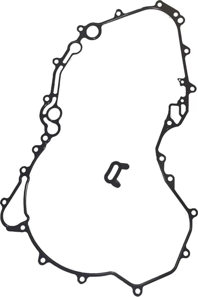 BRP GASKET