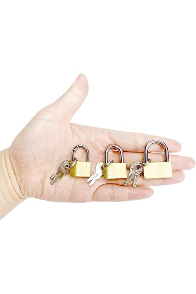 Generic Brand BRAS PADLOCK SET OF 3