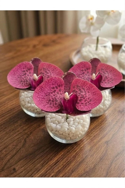 co arma Set of 3 Artificial Phalaenopsis Orchid Flowers in Glass Vase with Wh...