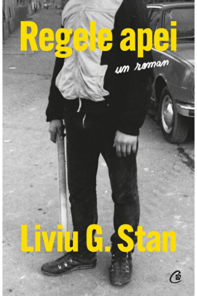 Editura Curtea Veche King of Water, Liviu G. Stan - Curtea Veche Publishing H...