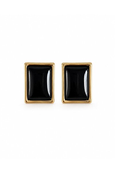 CHARMLUCKY Steel Emma Earrings