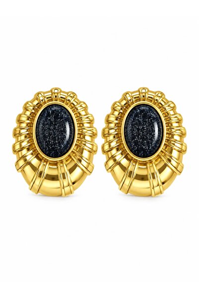 CHARMLUCKY Steel Hanry Earrings