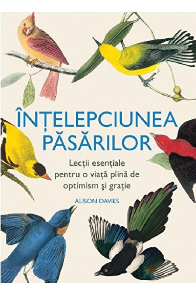 LAMBODAR Intelepciunea pasarilor - Alison Davies